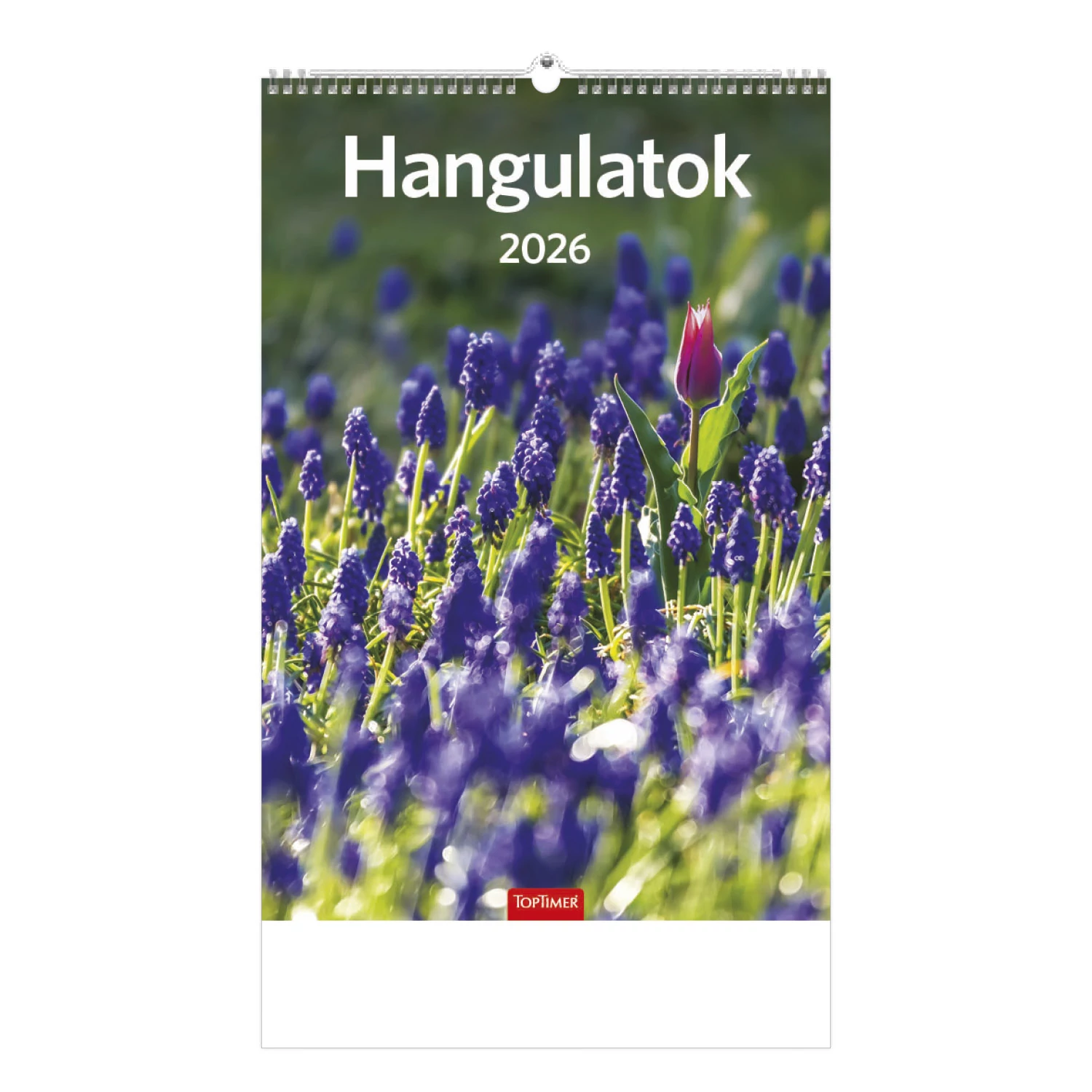 Hangulatok falinaptár - 2026