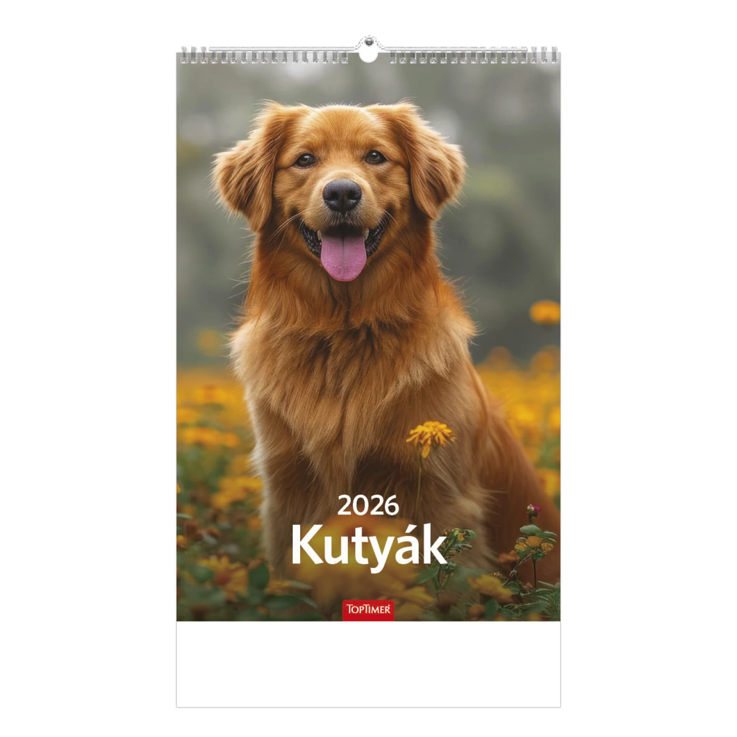 Kutyák falinaptár - 2026