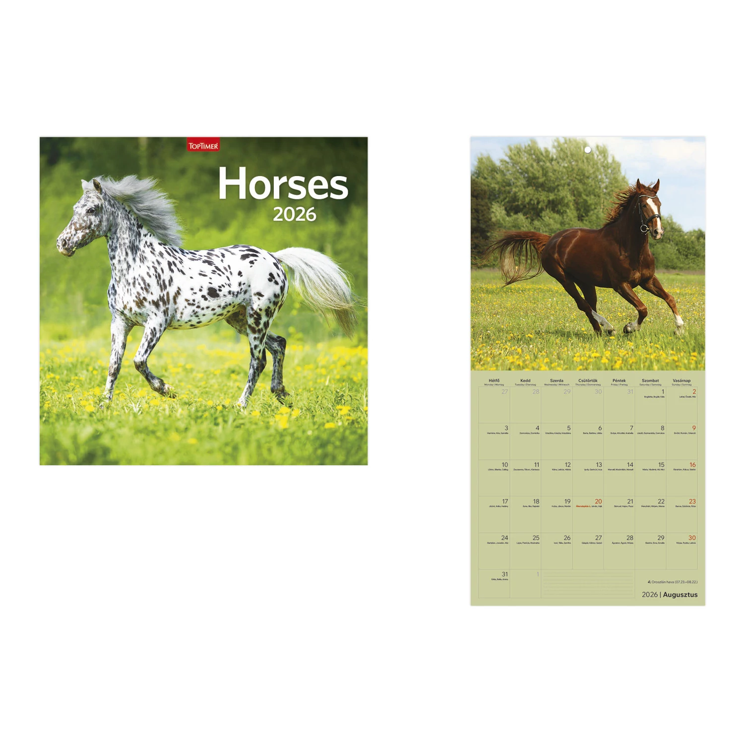 Horses (lovak) falinaptár - 2026