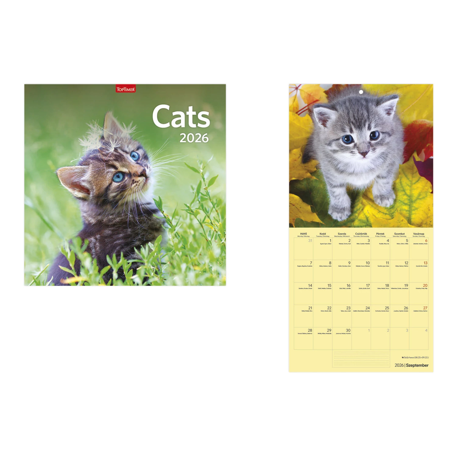 Cats falinaptár - 2026