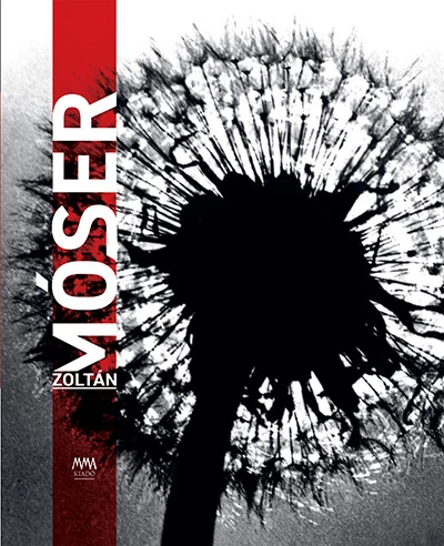 Amor Vitae Móser Zoltán